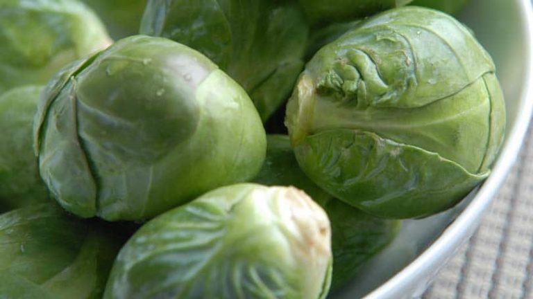 Brussels Sprouts - A Tasty Vegetable